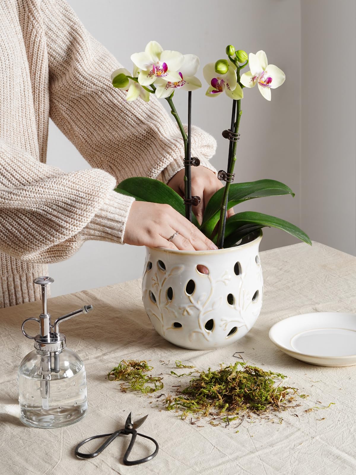 LE TAUCI top opening view highlighting roomy 6.5-inch interior for healthier root space