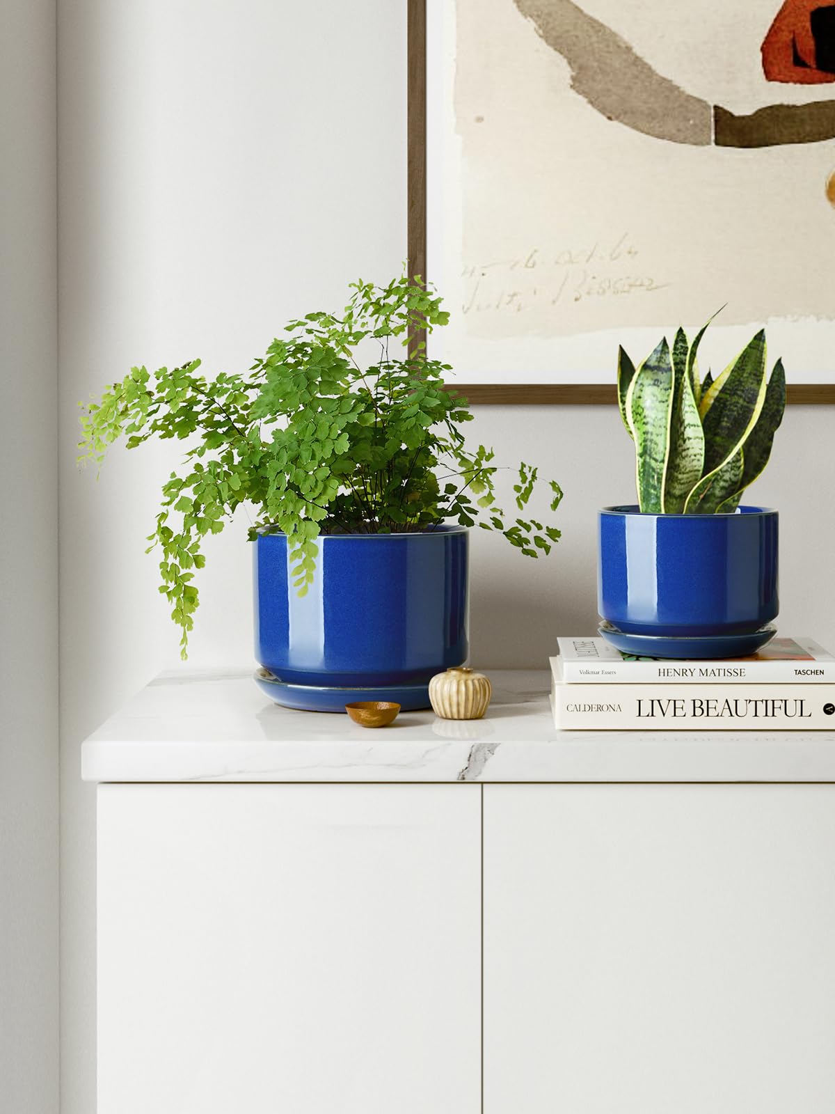 LE TAUCI gift-ready packaging box, makes thoughtful present