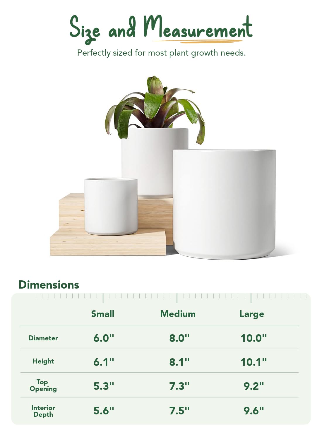 LE TAUCI large pot with plant in living room illustrating stable heavy ceramic benefit
