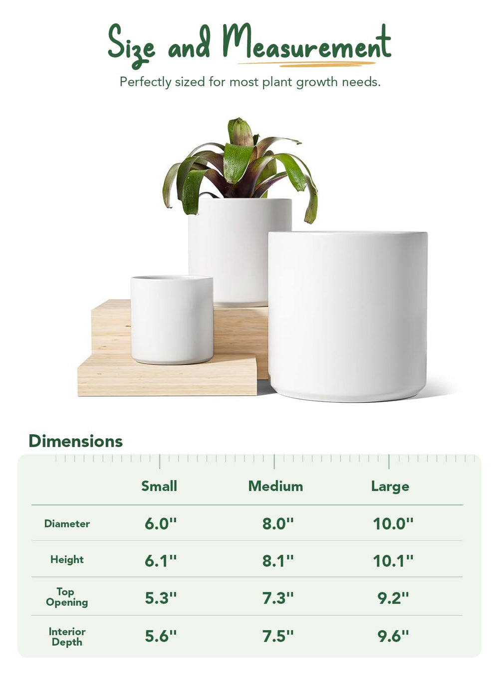LE TAUCI large pot with plant in living room illustrating stable heavy ceramic benefit