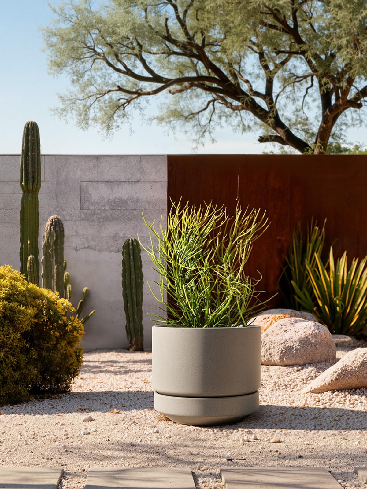 LE TAUCI planter staged in living room with plant demonstrating decorative and functional appeal