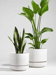 LE TAUCI detachable saucer and pot fit protecting floors and collecting runoff