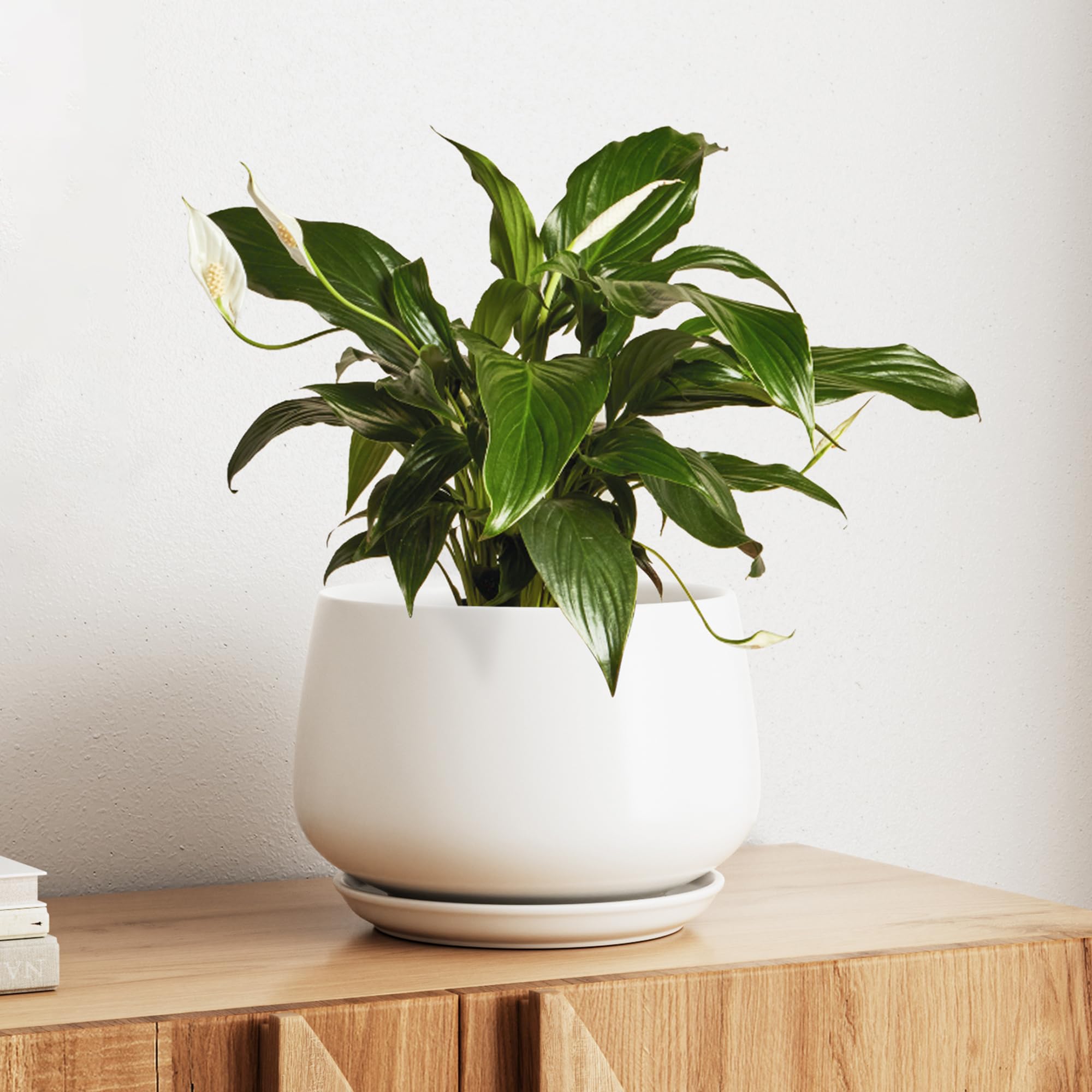 LE TAUCI front view of white ceramic planter showing clean silhouette and modern benefit