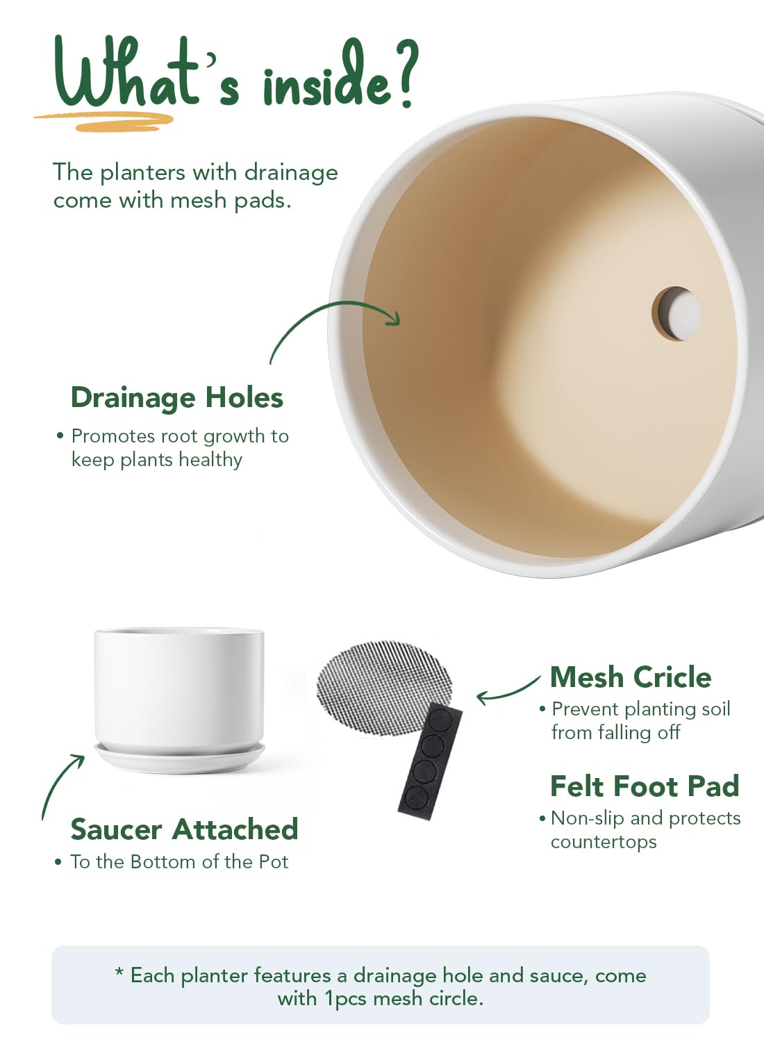 LE TAUCI product label and ruler showing 12-inch diameter and 9.4-inch height