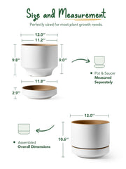 LE TAUCI detachable saucer under planter protecting floors and collecting runoff