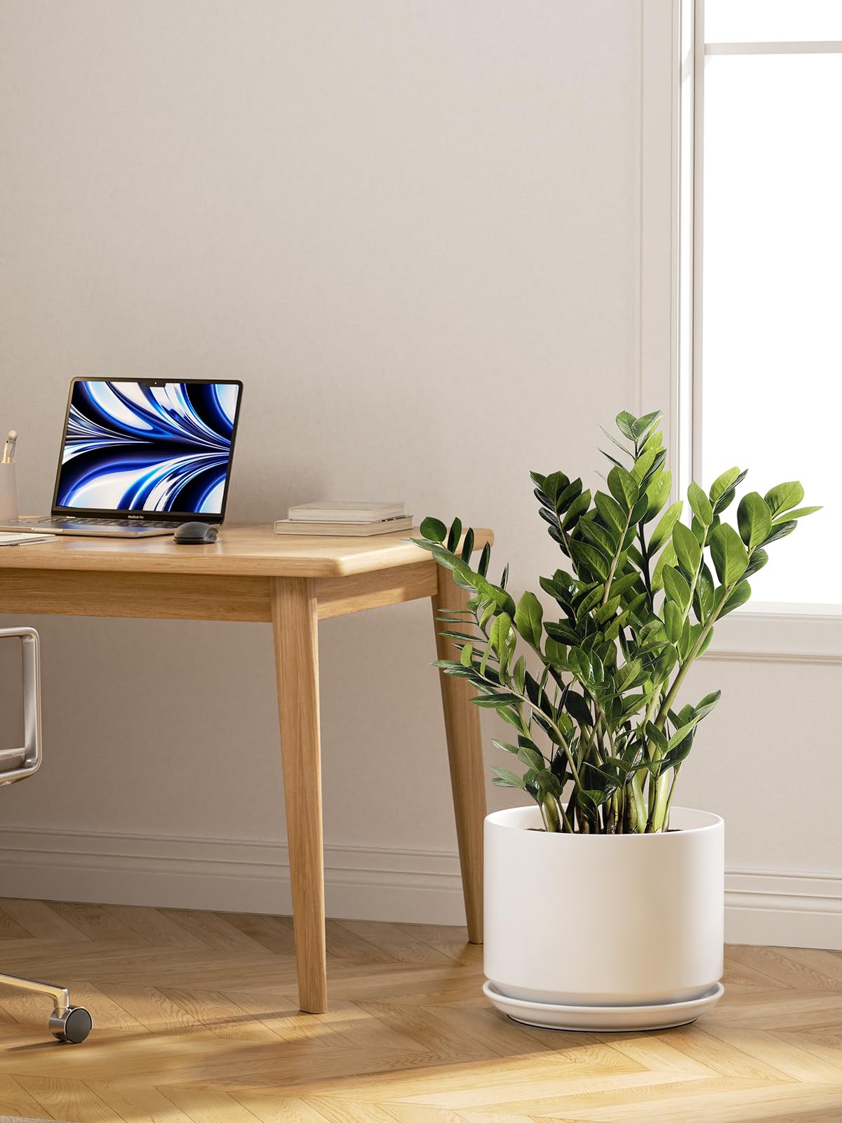 LE TAUCI pot with snake plant showing scale and sturdy support for taller foliage