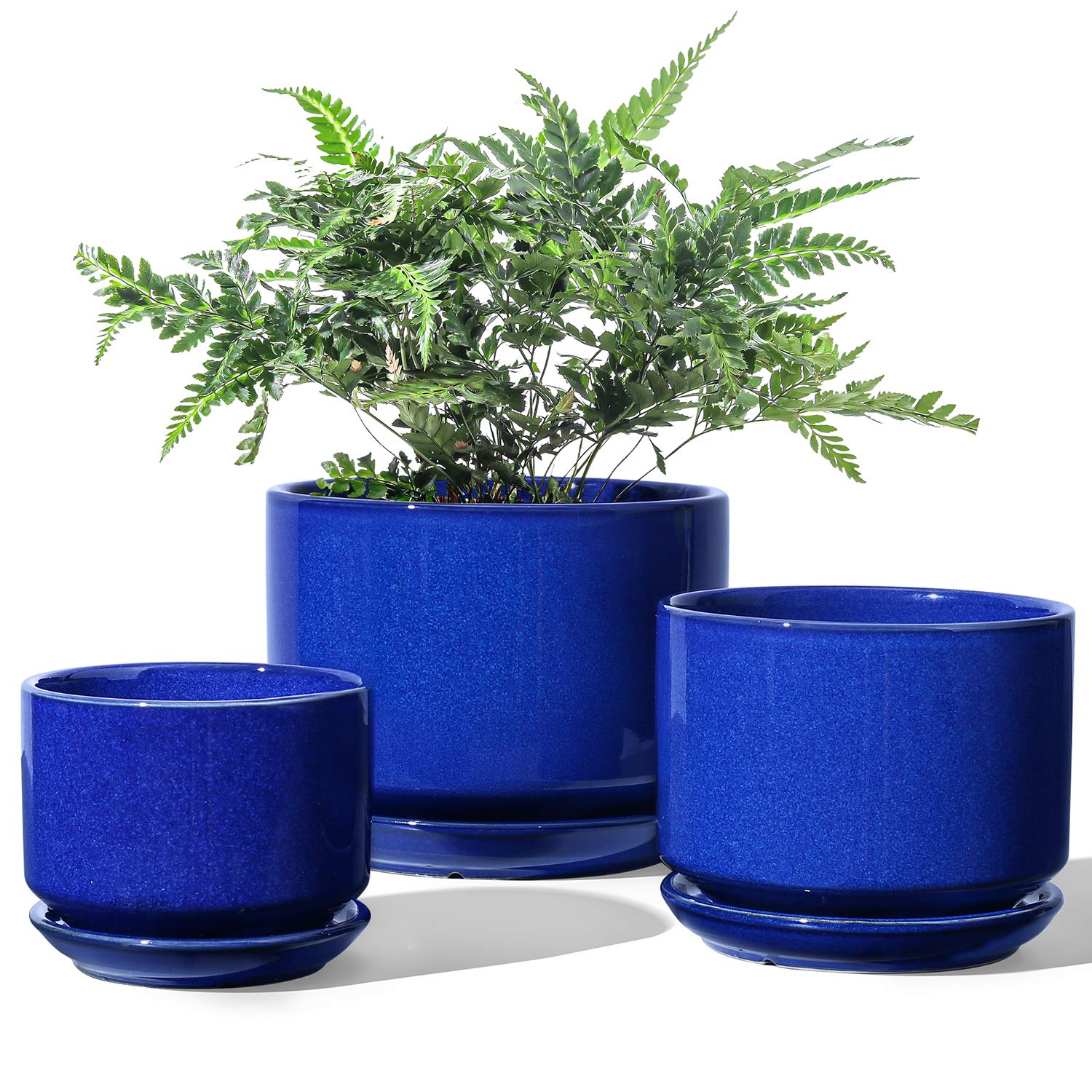 LE TAUCI front view of trio sapphire blue pots, stylish display benefit