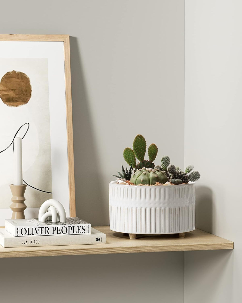 LE TAUCI pots arranged with succulents showing easy styling and tidy presentation