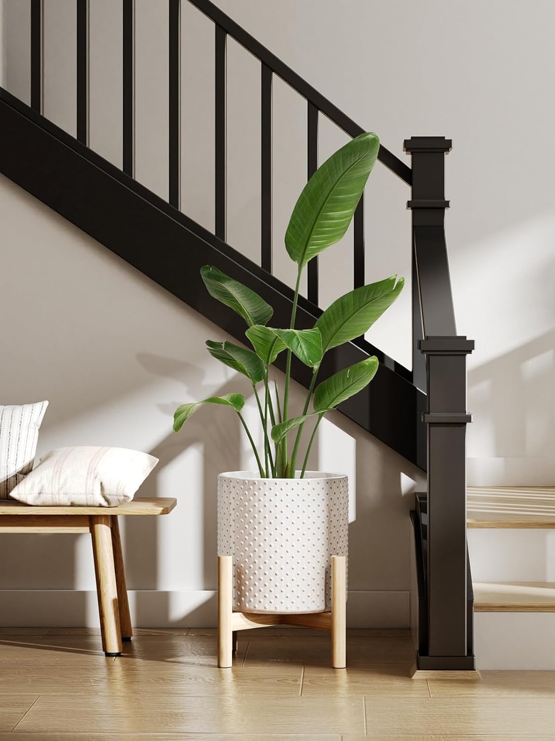 LE TAUCI pot with snake plant demonstrating stability and in-room styling