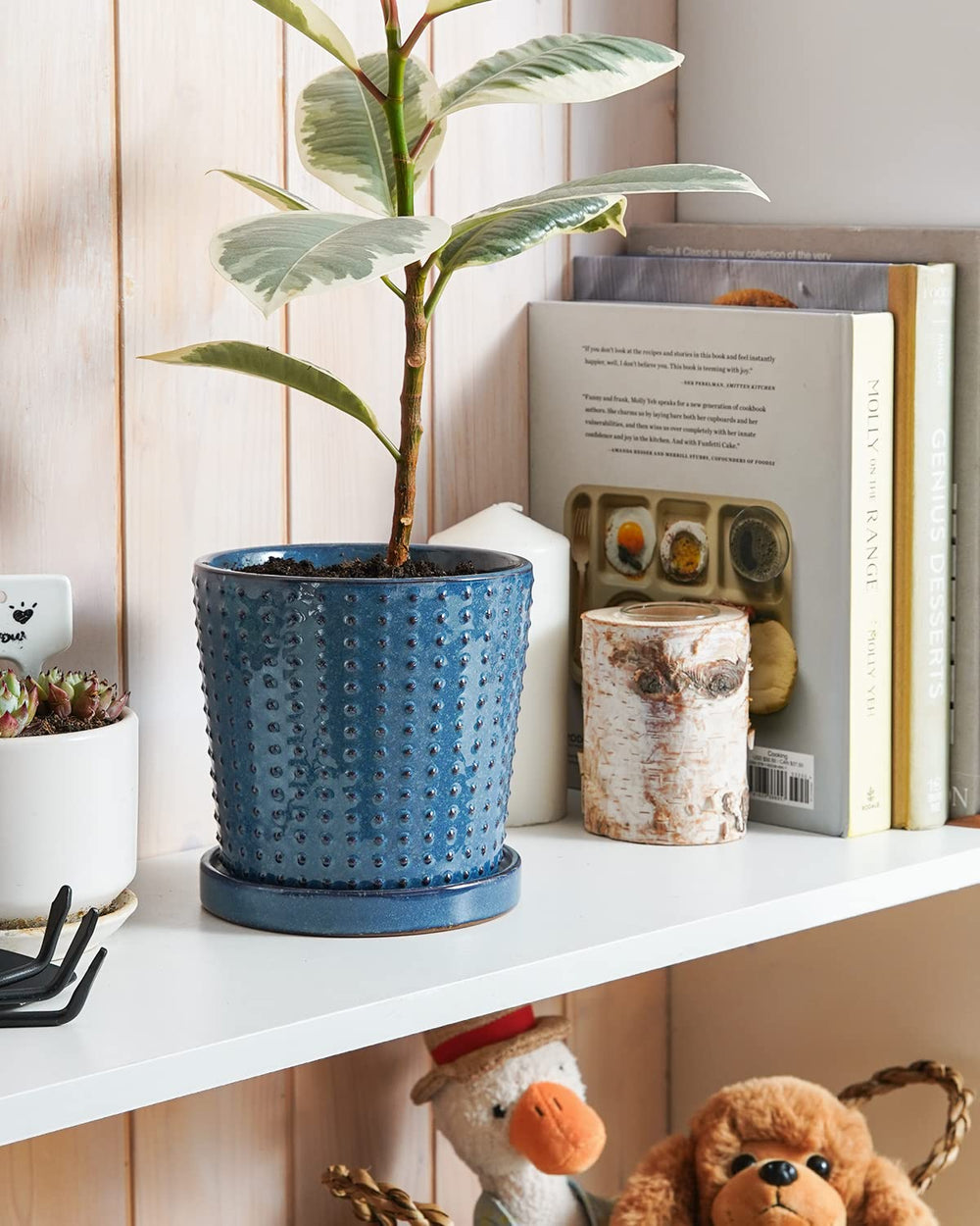 LE TAUCI pot with succulent in use demonstrates proper drainage and attractive display