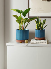 LE TAUCI close-up of ribbed texture highlighting grip and decorative detail