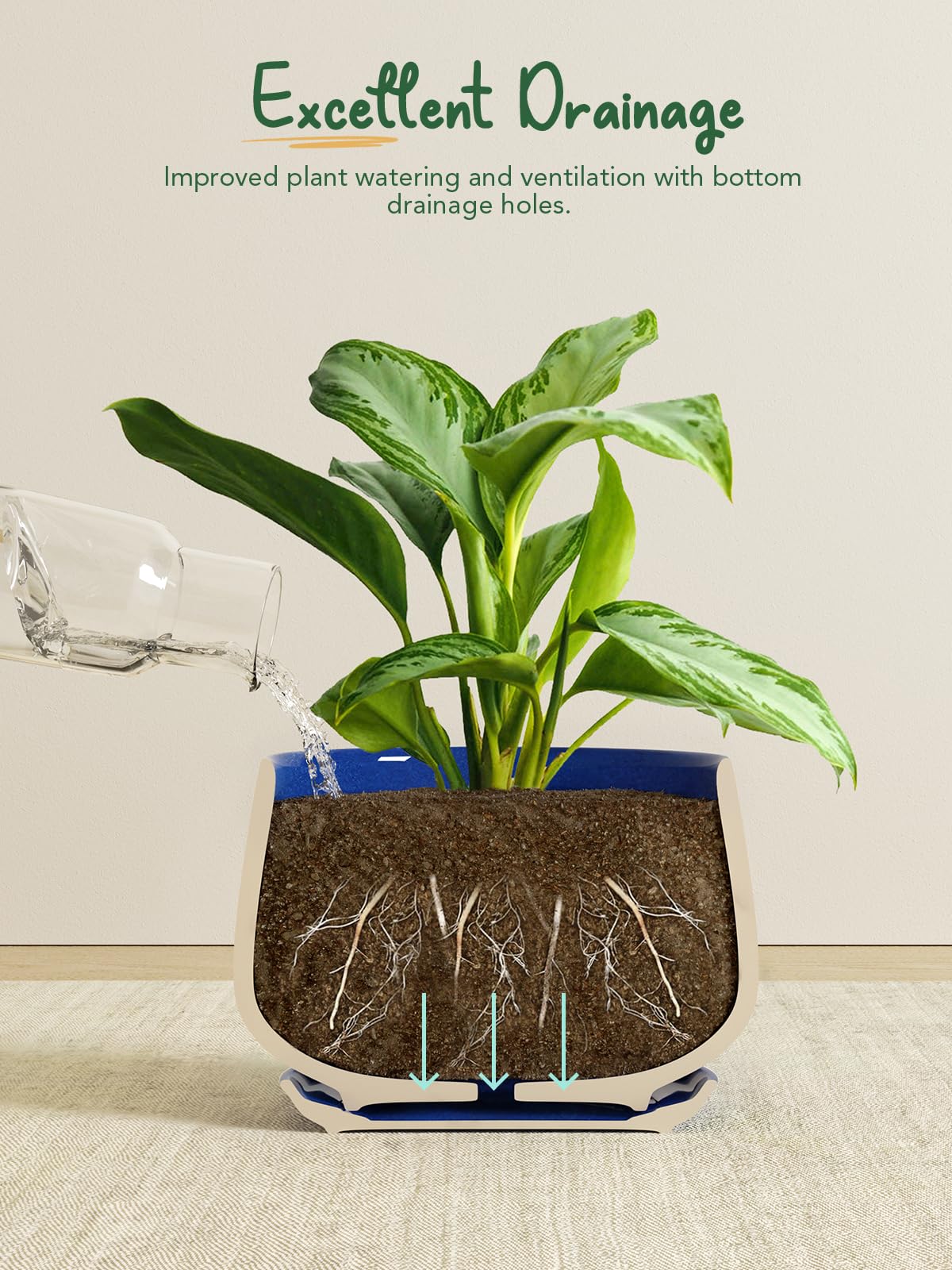 LE TAUCI visible drainage hole with attached saucer catching excess water, prevents overwatering
