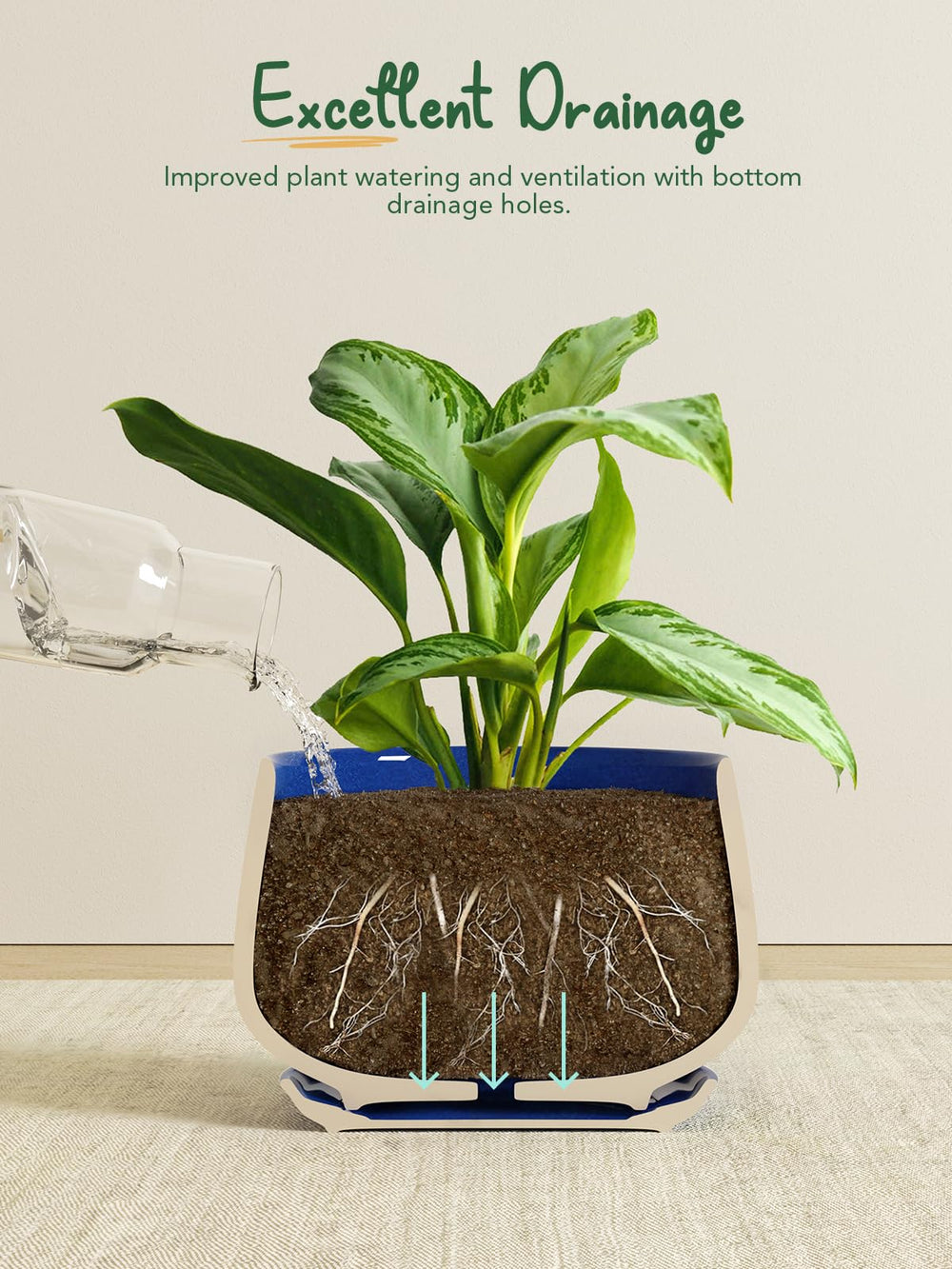 LE TAUCI visible drainage hole with attached saucer catching excess water, prevents overwatering