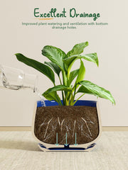 LE TAUCI visible drainage hole with attached saucer catching excess water, prevents overwatering