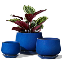 LE TAUCI front view of three sapphire blue ceramic pots, stylish home accent