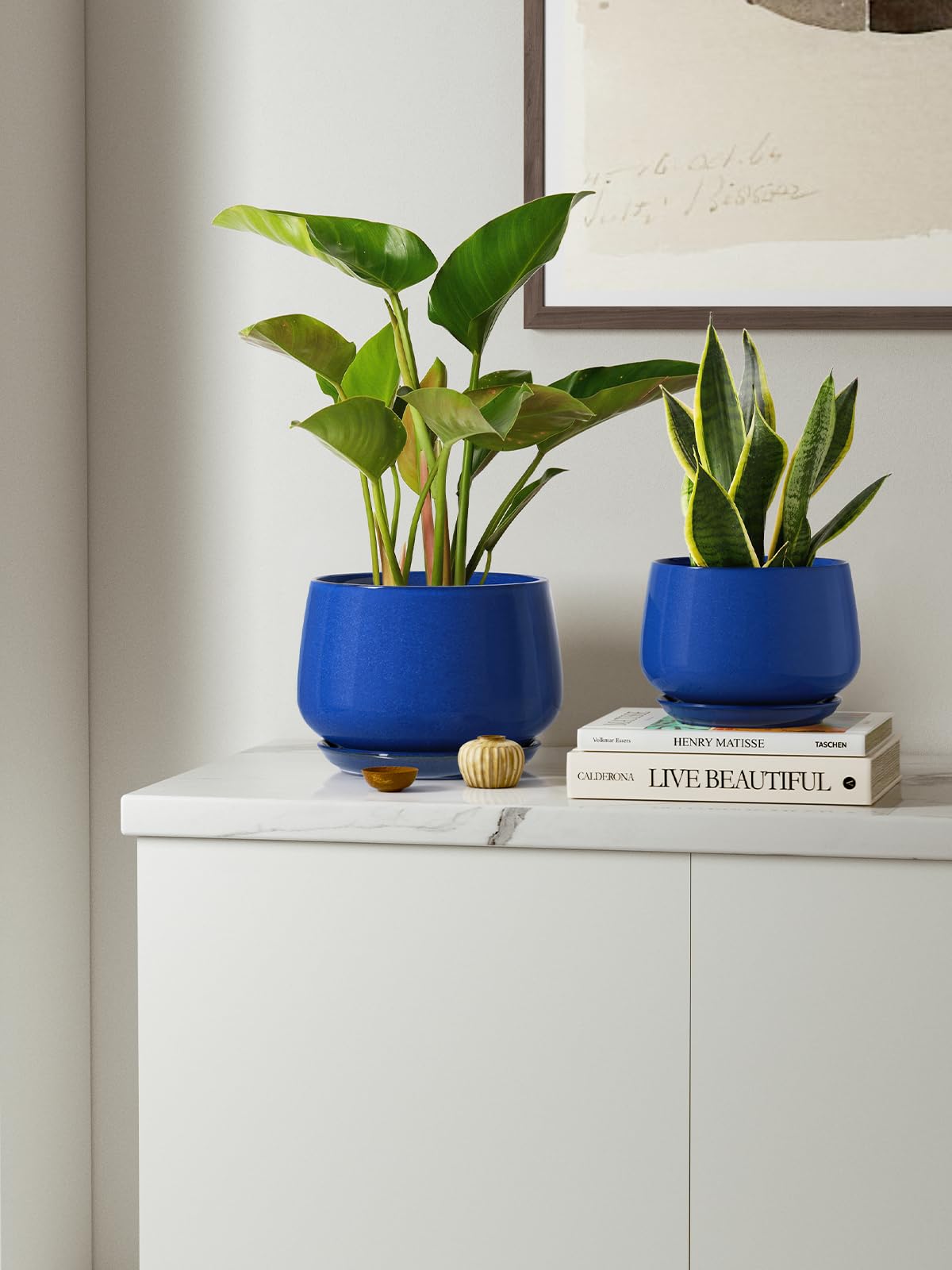 LE TAUCI sapphire pots styled with succulents on a windowsill, enhances room greenery