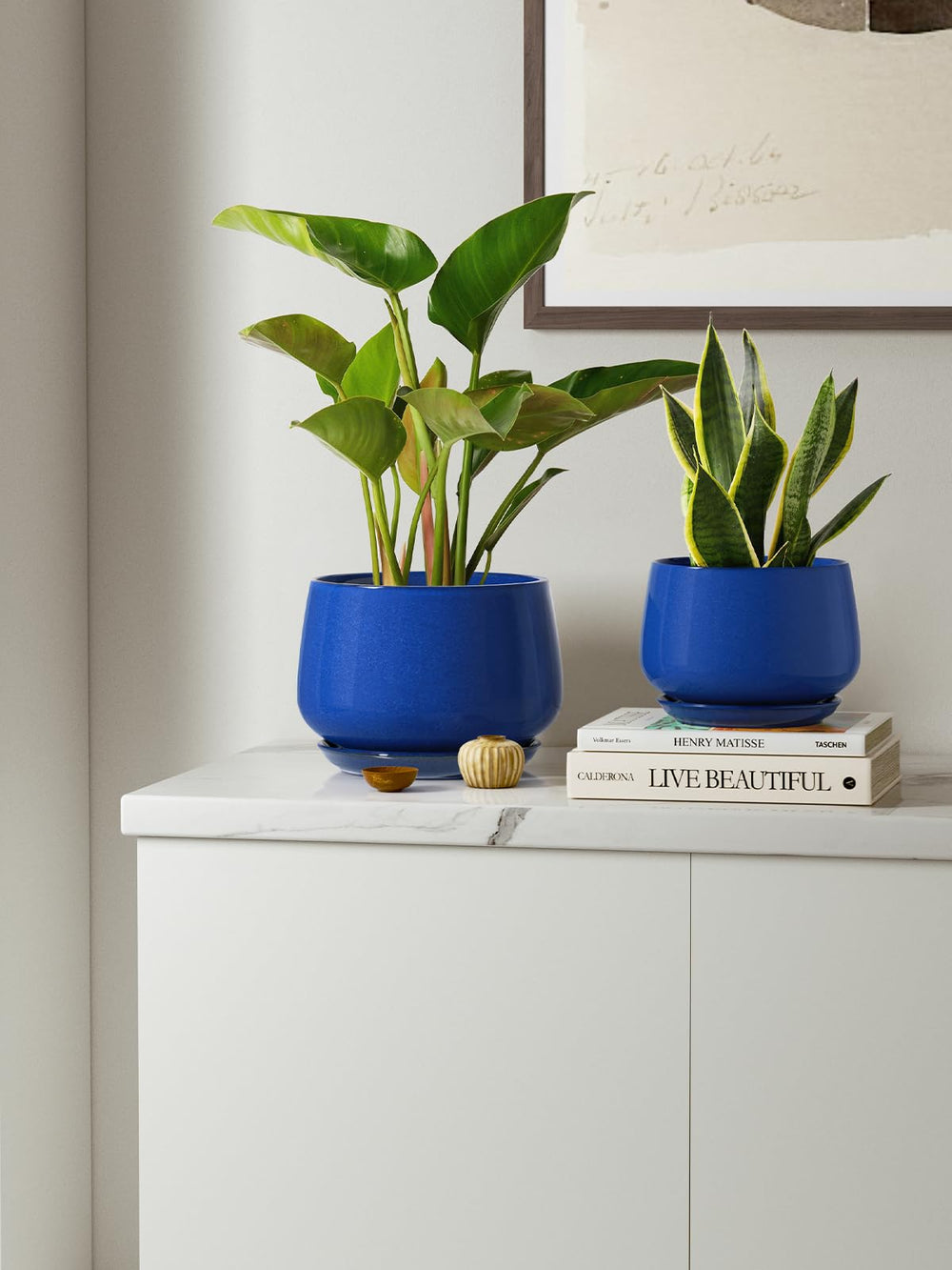 LE TAUCI sapphire pots styled with succulents on a windowsill, enhances room greenery