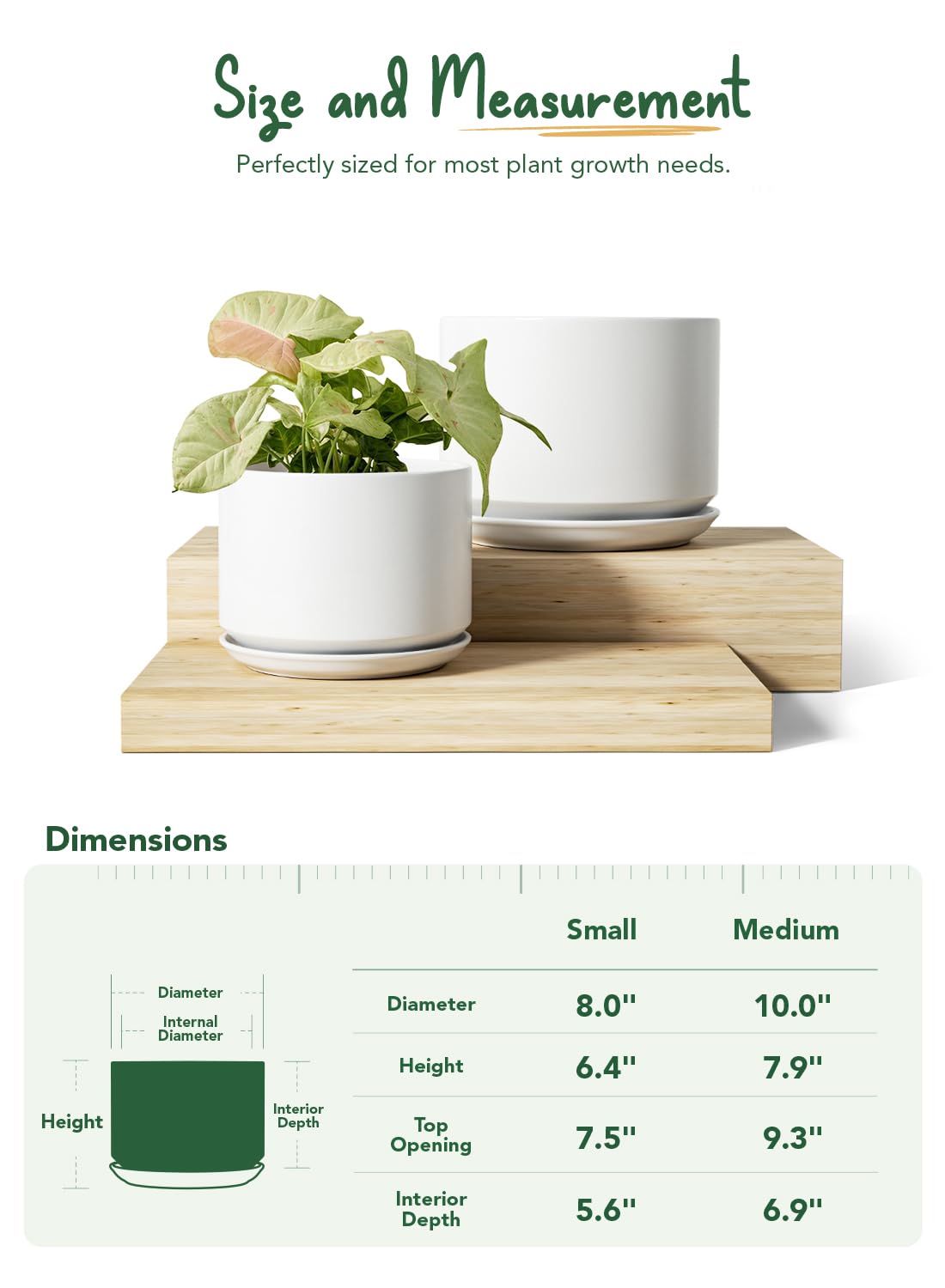 LE TAUCI saucer and drainage hole detail demonstrating water containment and tidy watering