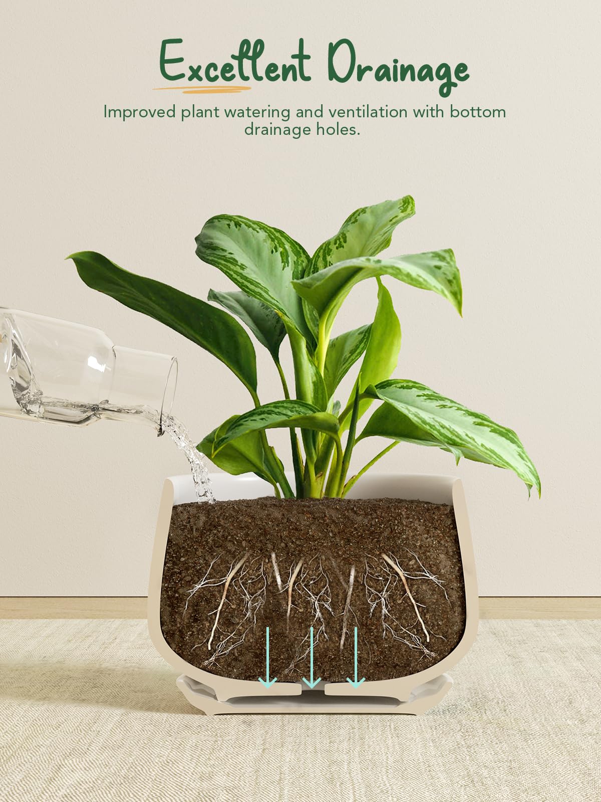 LE TAUCI attached saucer collecting runoff for tidy indoor gardening