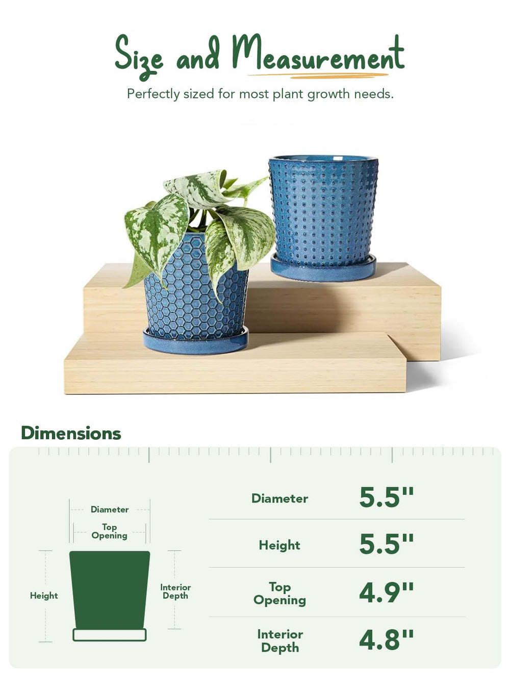 LE TAUCI scale comparison pot next to ruler displays true 5.4-inch size for planning