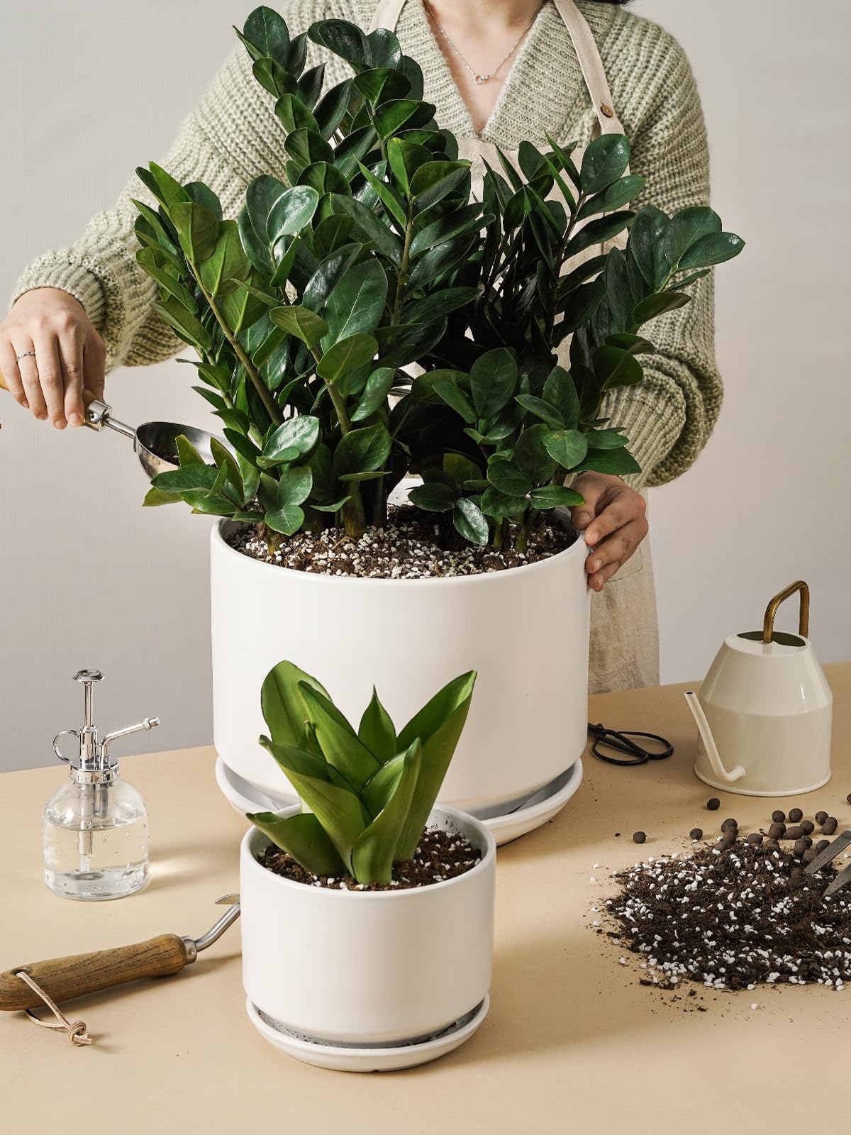 LE TAUCI pot beside common objects for scale, showing accurate size and placement guidance
