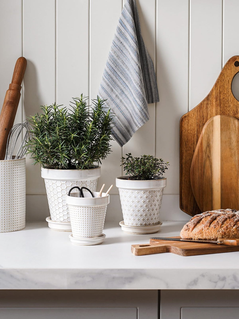 LE TAUCI pot held in hand for scale showing 4.9-inch size and compact footprint