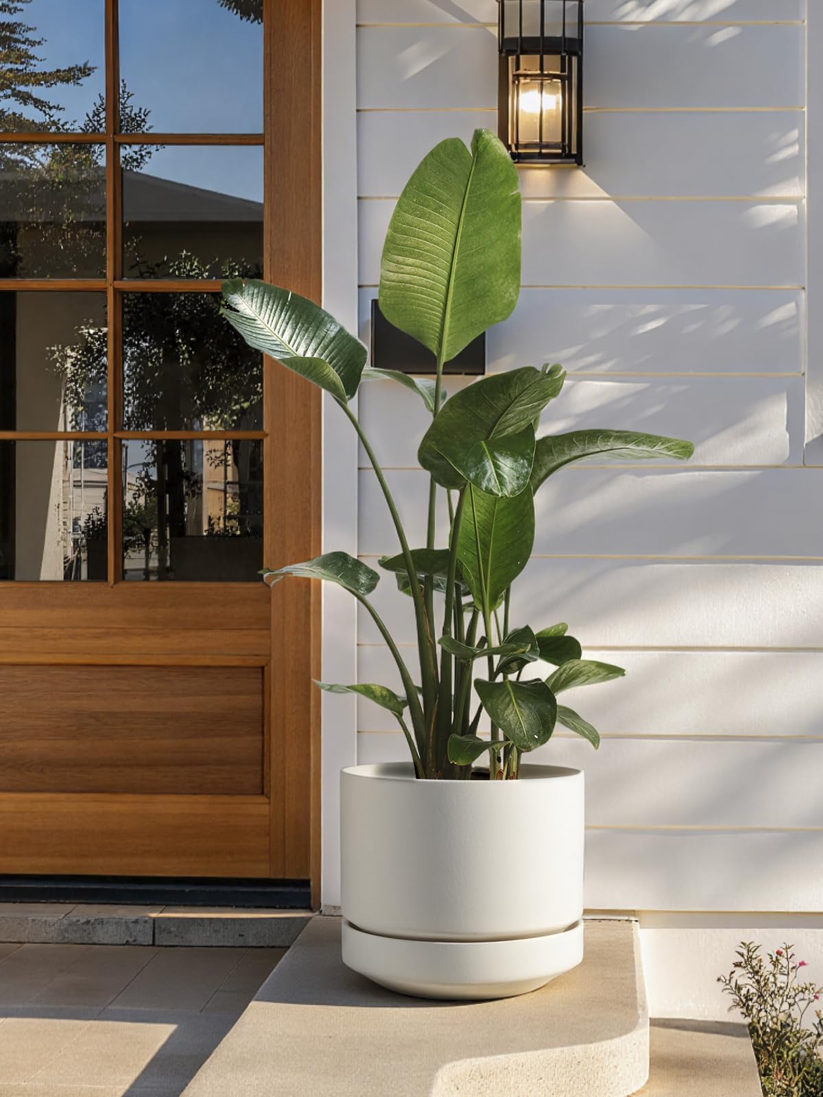 LE TAUCI pot beside a ruler demonstrating 14 inch size for room planning
