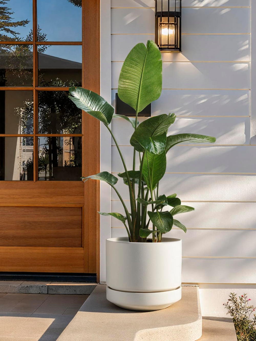 LE TAUCI pot beside a ruler demonstrating 14 inch size for room planning