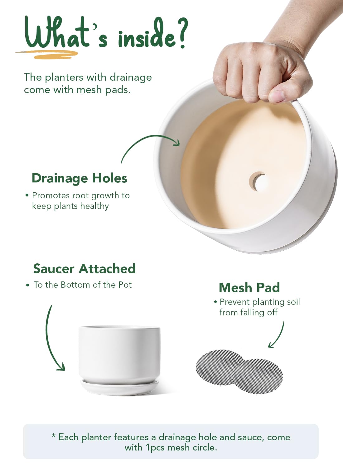 LE TAUCI pots next to a ruler showing accurate small to medium sizes