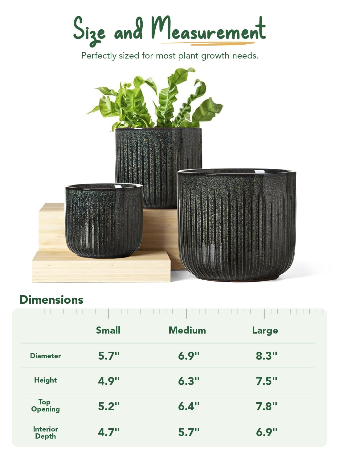 LE TAUCI scale image with hand showing substantial weight and stability