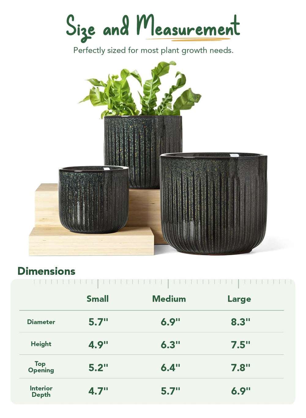 LE TAUCI scale image with hand showing substantial weight and stability
