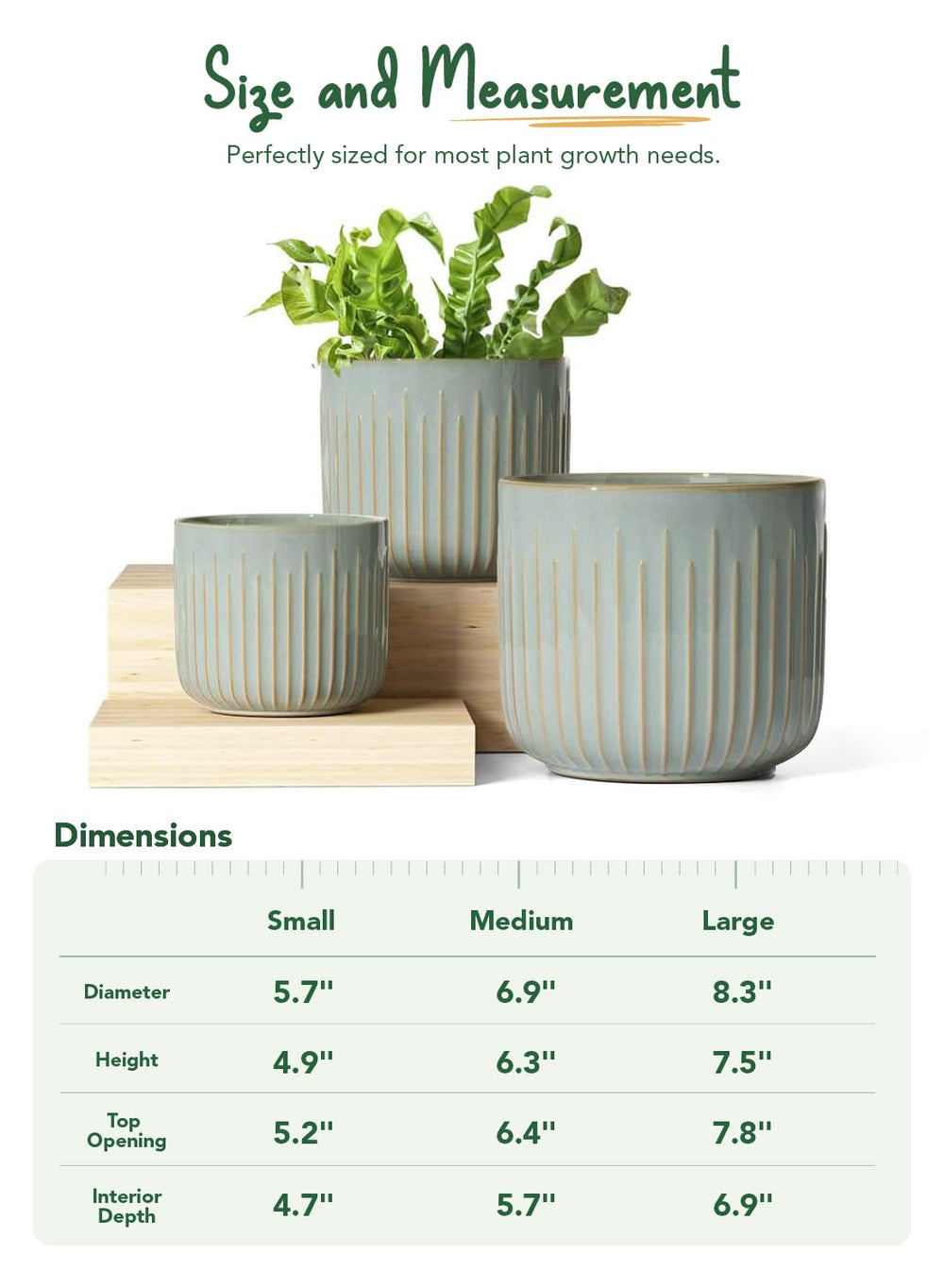 LE TAUCI planter with snake plant to show scale and stability for taller foliage benefit