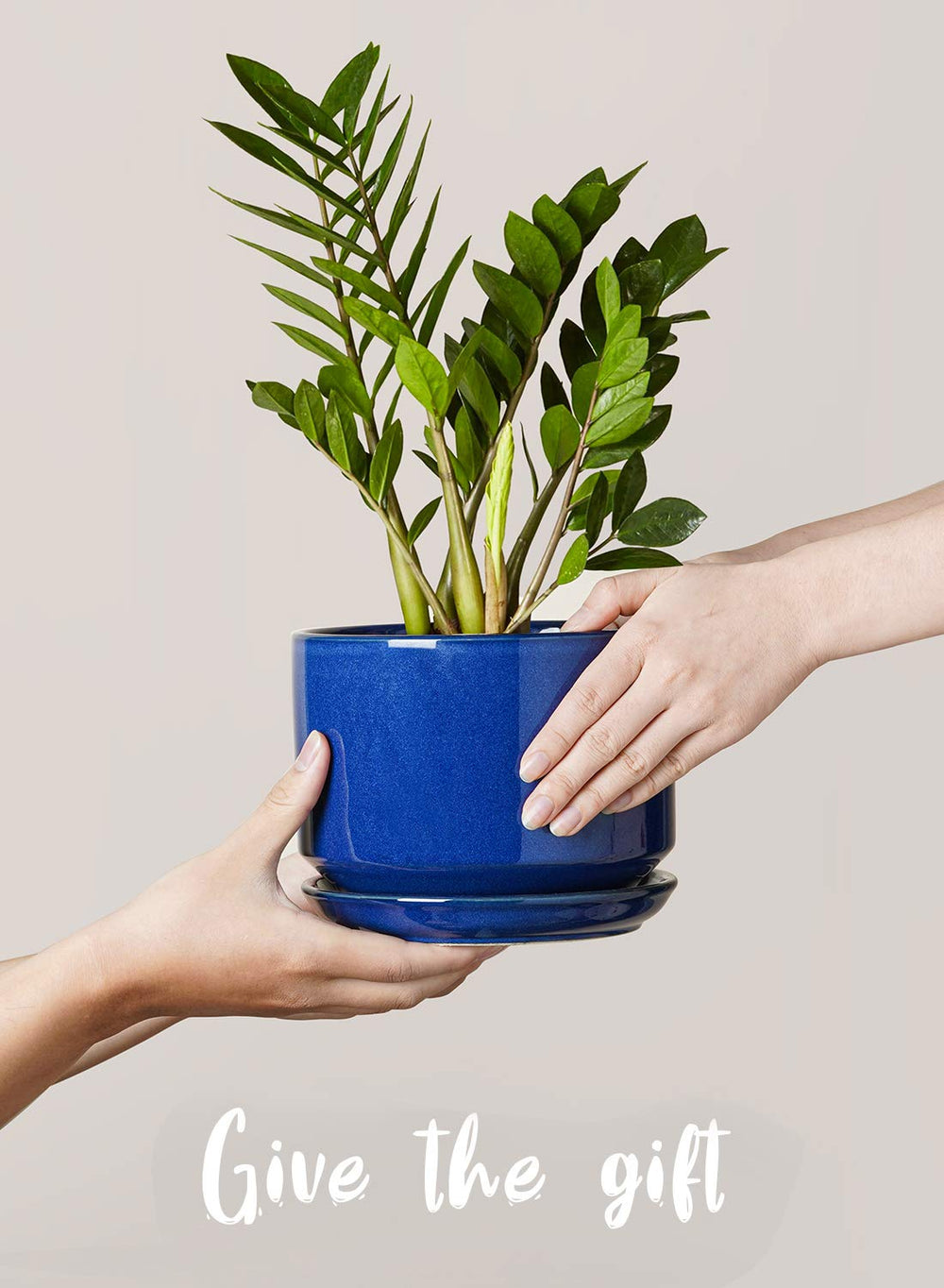LE TAUCI three pots held in hand for scale, helps size selection