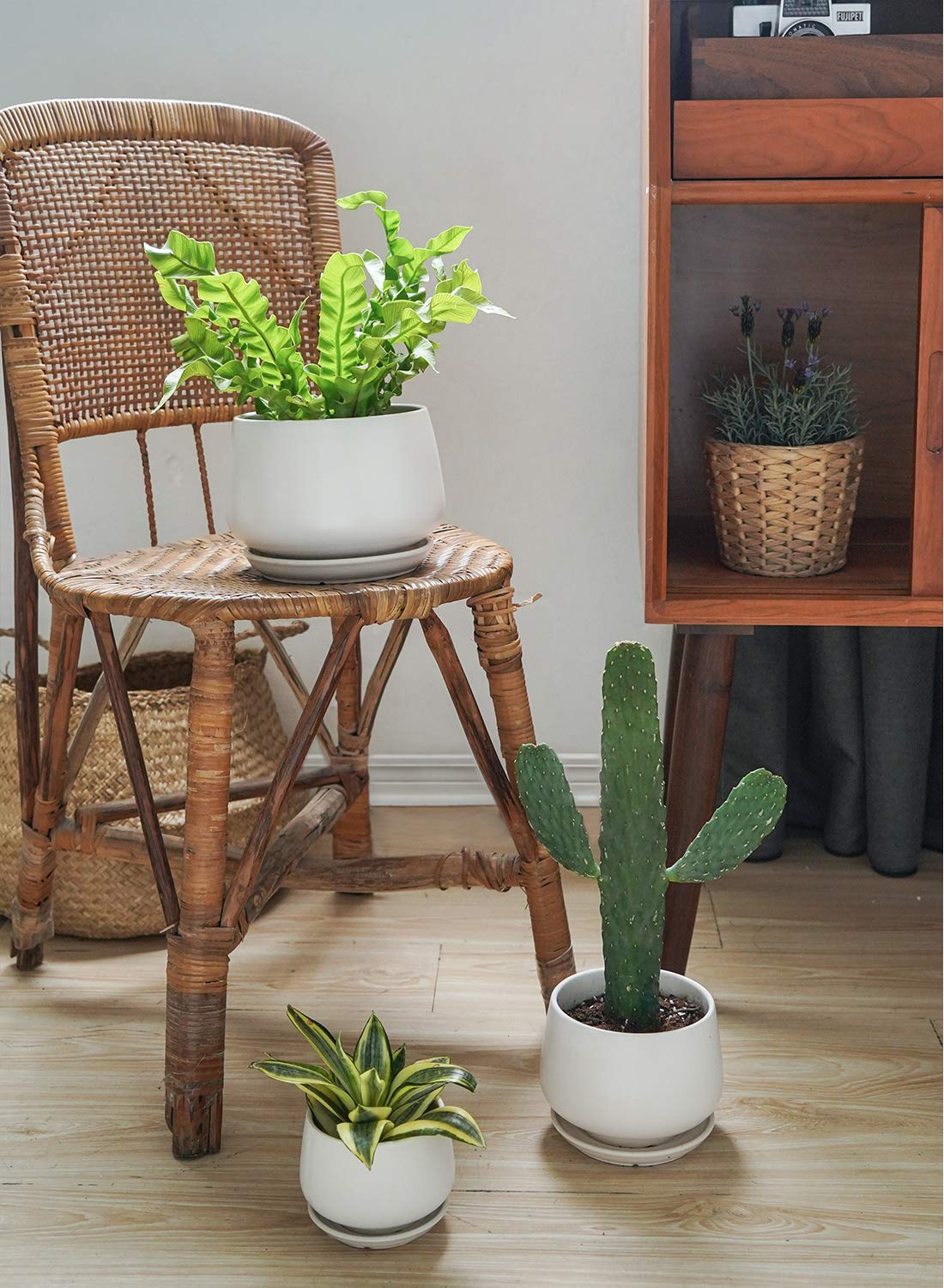 LE TAUCI size comparison of 4, 5, 6.5 inch planters clarifying fit