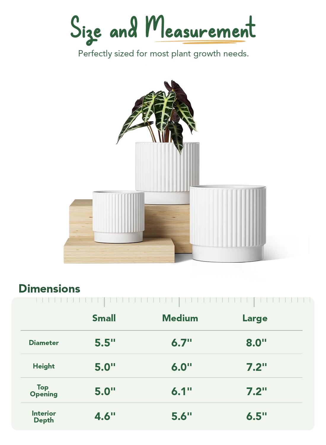 LE TAUCI three pots side-by-side to show scale and compatible size options