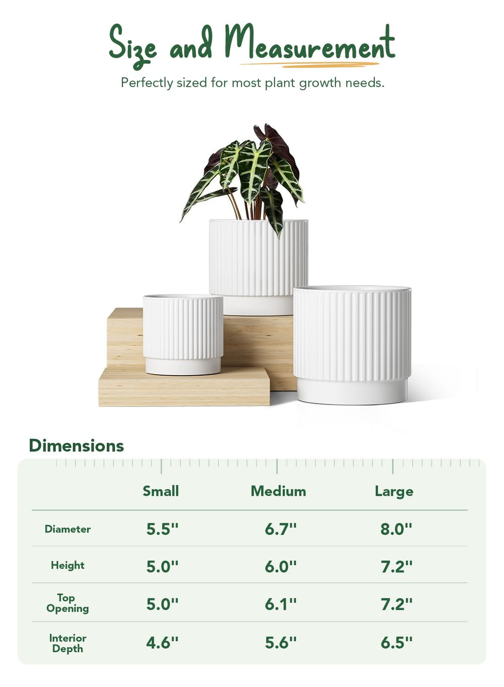 LE TAUCI three pots side-by-side to show scale and compatible size options