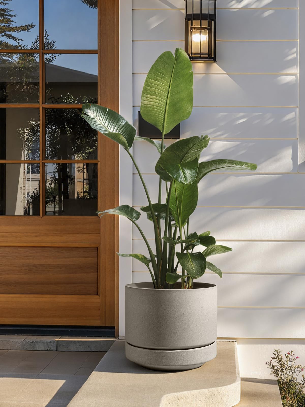 LE TAUCI pot beside 14 inch ruler illustrating size and scale for plant selection