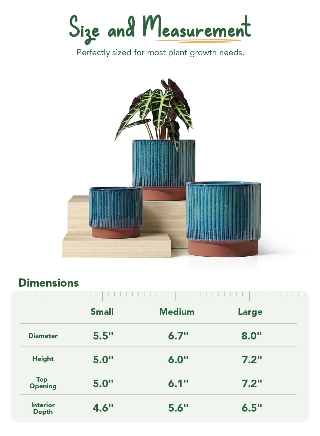 LE TAUCI size comparison next to a book showing scale and fit benefit