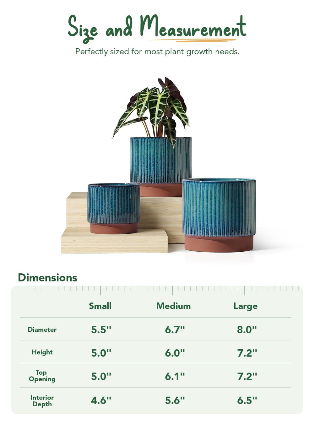 LE TAUCI size comparison next to a book showing scale and fit benefit