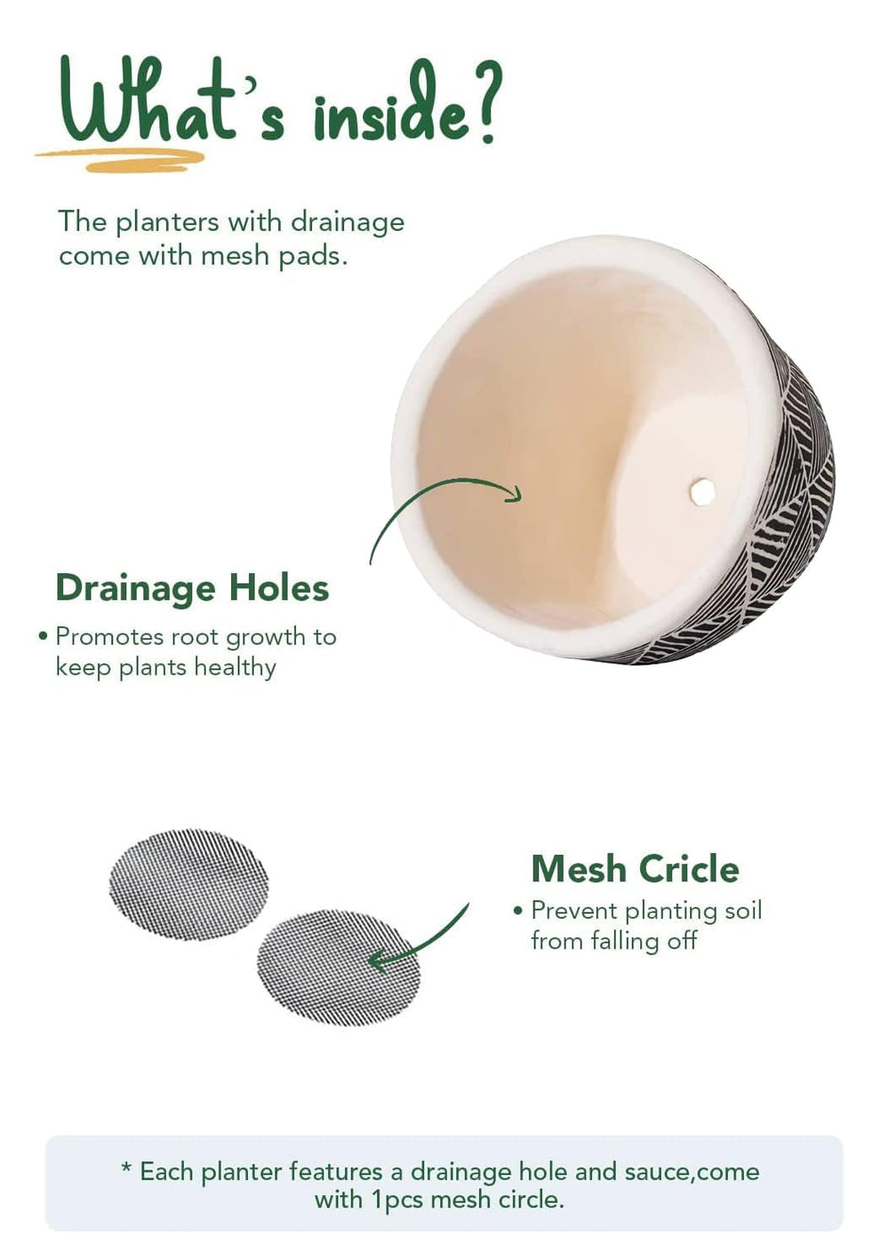 LE TAUCI pot next to adult hand showing scale and easy desktop placement benefit