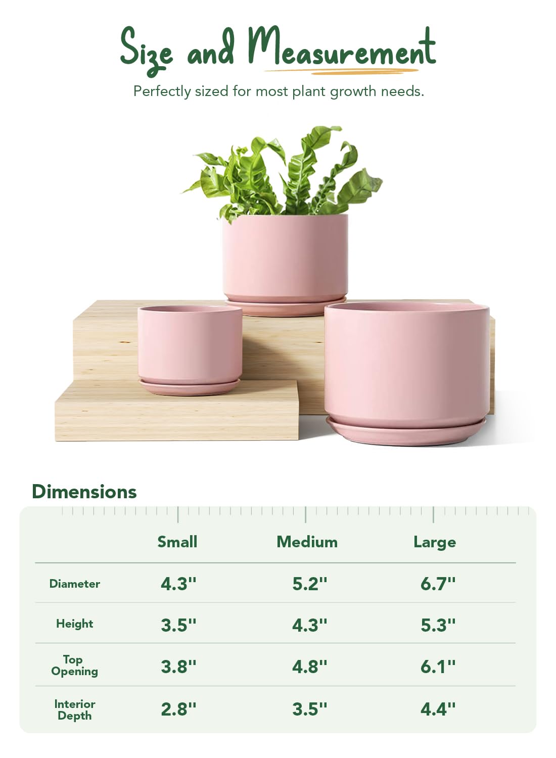 LE TAUCI size comparison held in hand showing scale and tabletop suitability