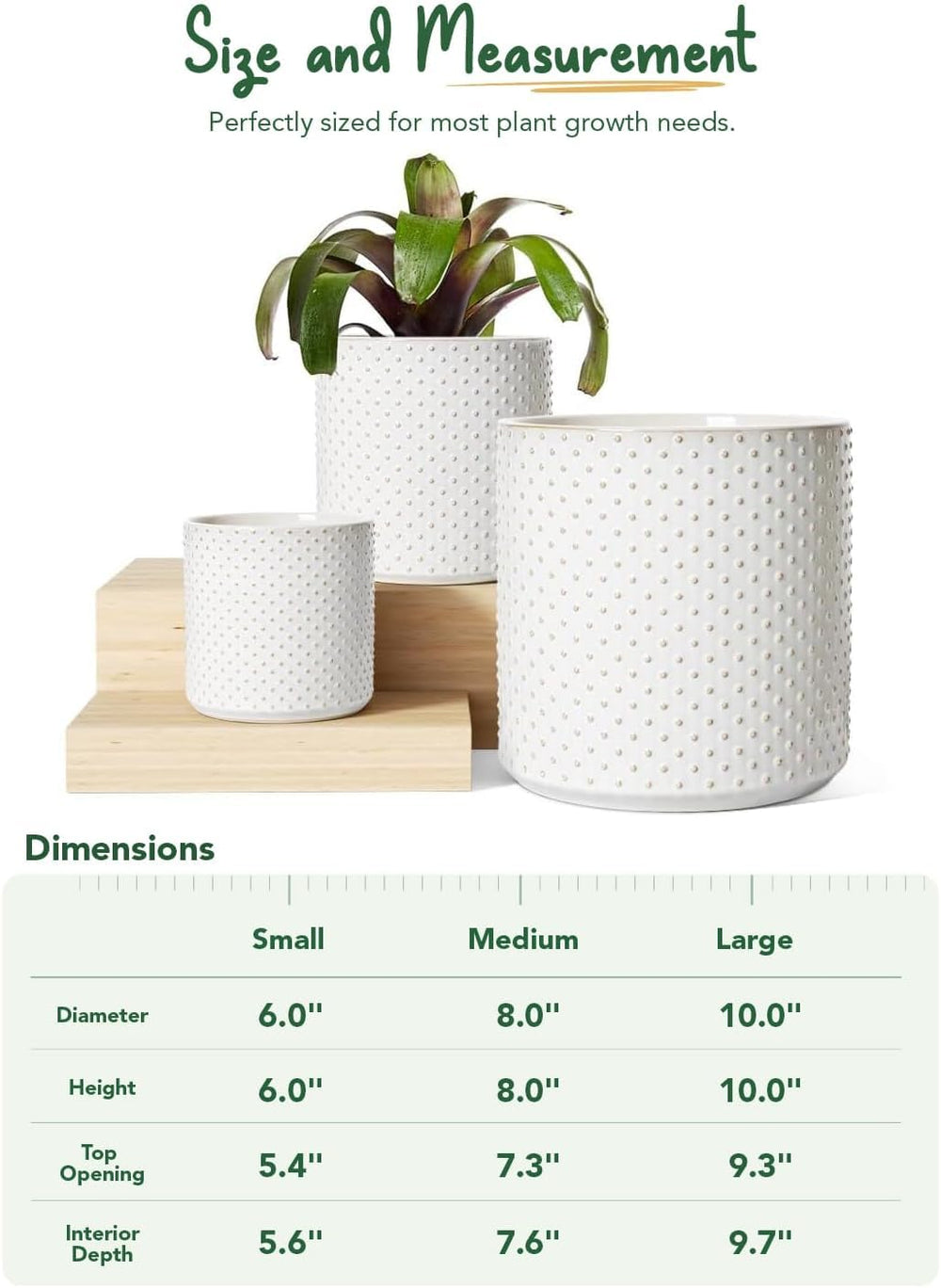 LE TAUCI pots beside ruler showing sizes and planting scale