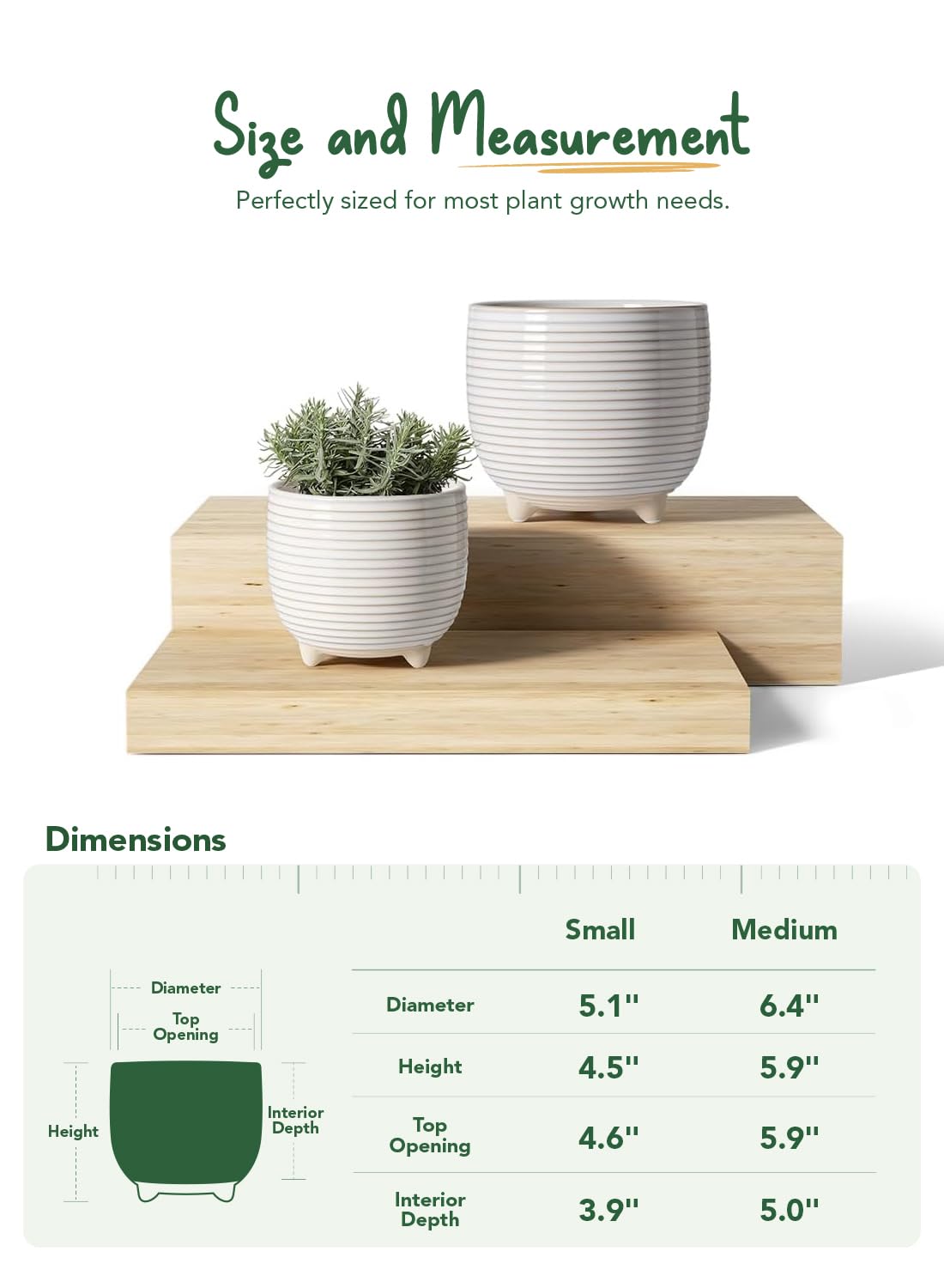 LE TAUCI small 5.1-inch pot holding succulent illustrating compact size and charm