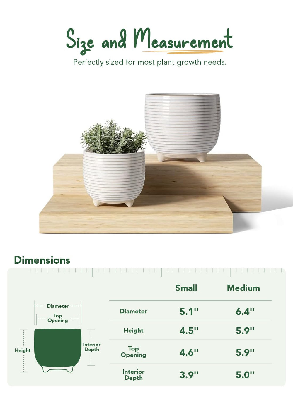 LE TAUCI small 5.1-inch pot holding succulent illustrating compact size and charm