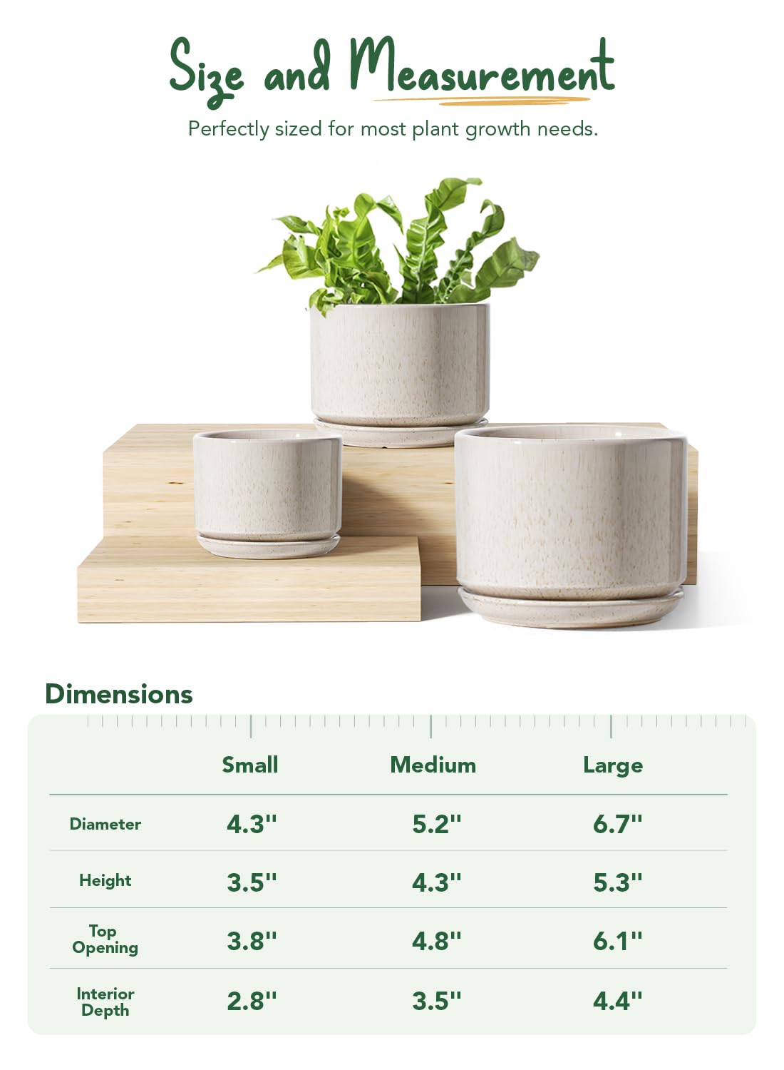 LE TAUCI small pot holding a succulent illustrating compact planting benefit