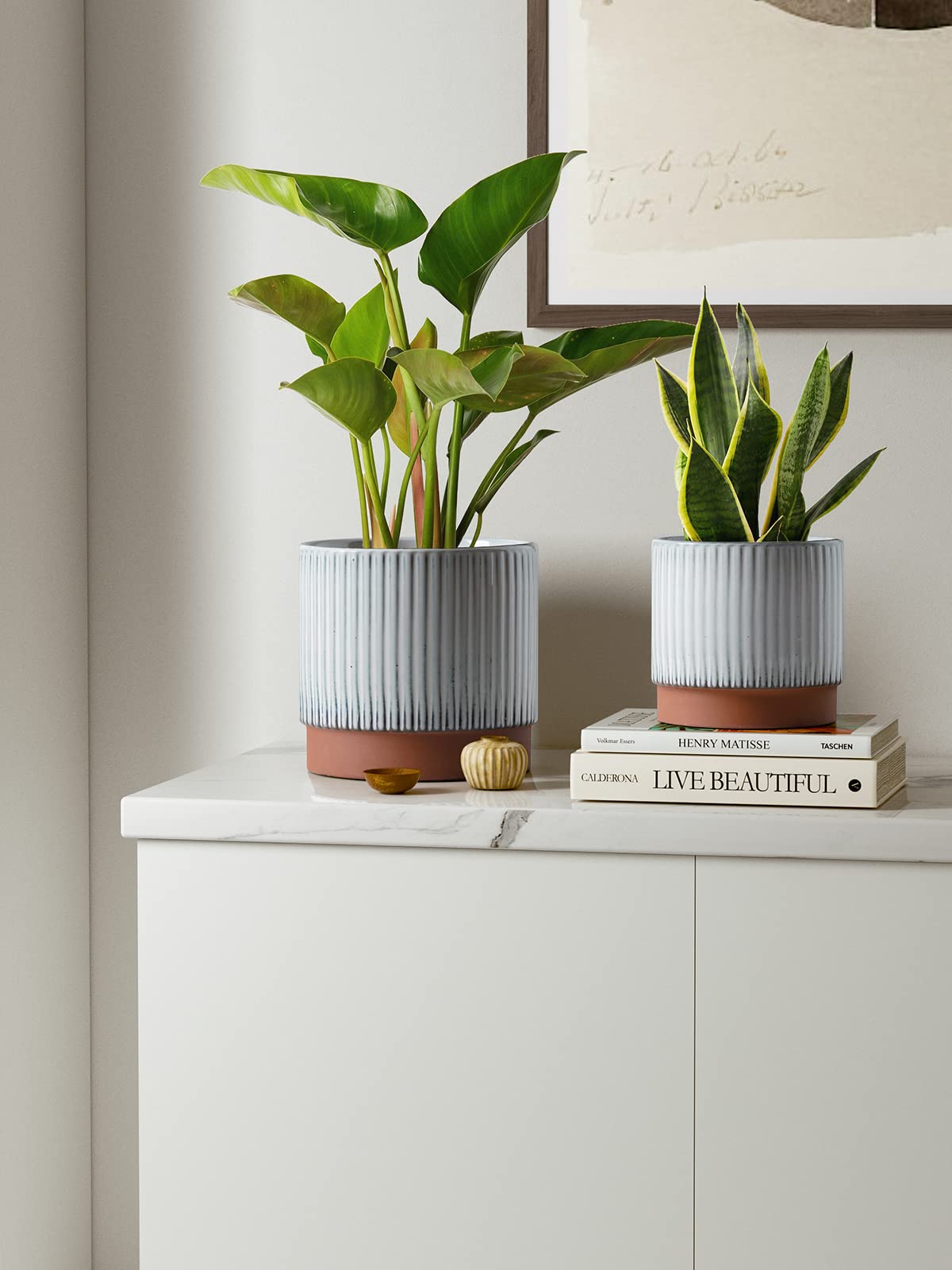 LE TAUCI close-up of ribbed ceramic texture highlighting durable glaze finish