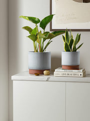 LE TAUCI close-up of ribbed ceramic texture highlighting durable glaze finish