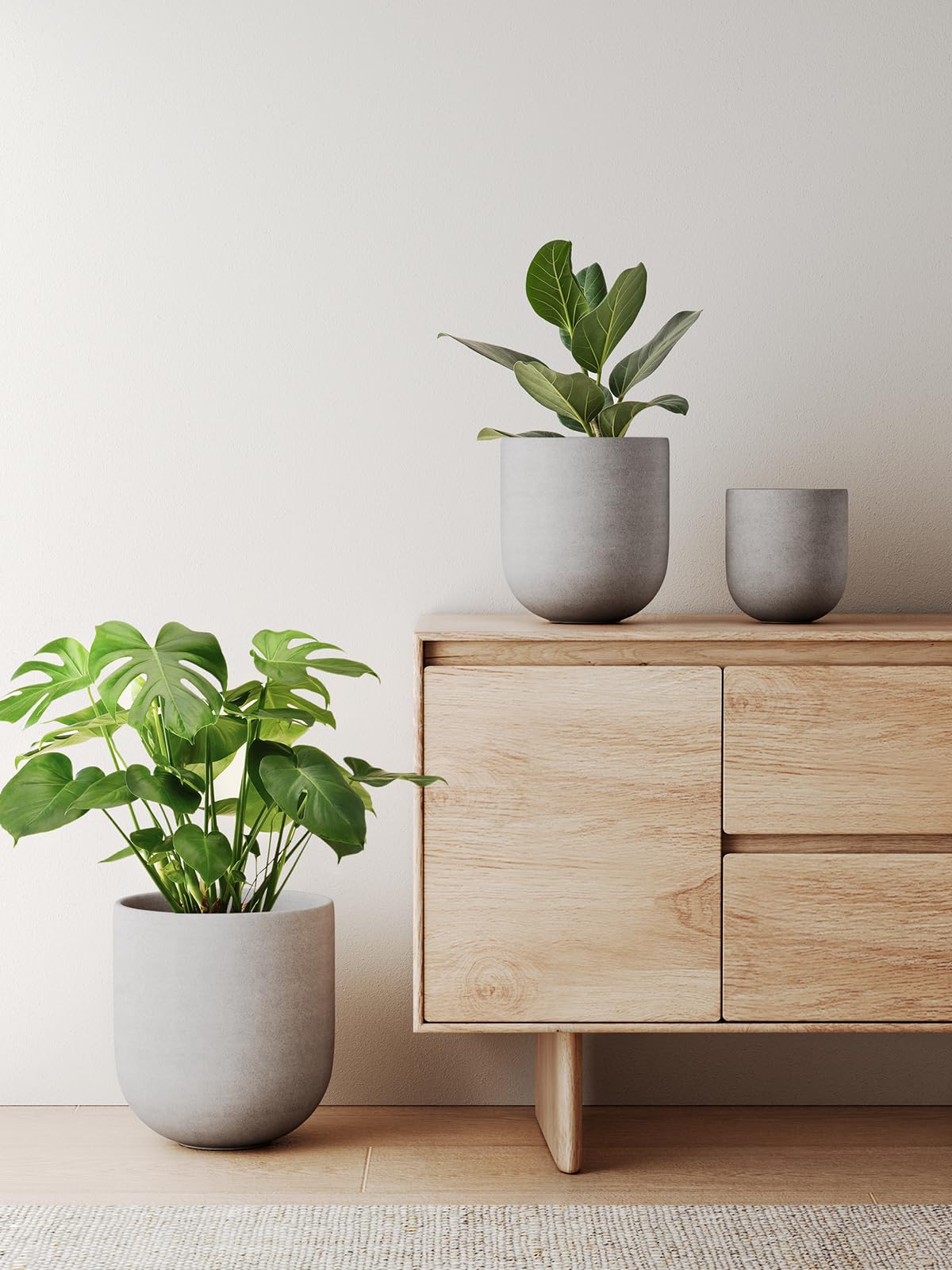 LE TAUCI top view with plant illustrating root space and aesthetic presentation