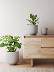 LE TAUCI top view with plant illustrating root space and aesthetic presentation