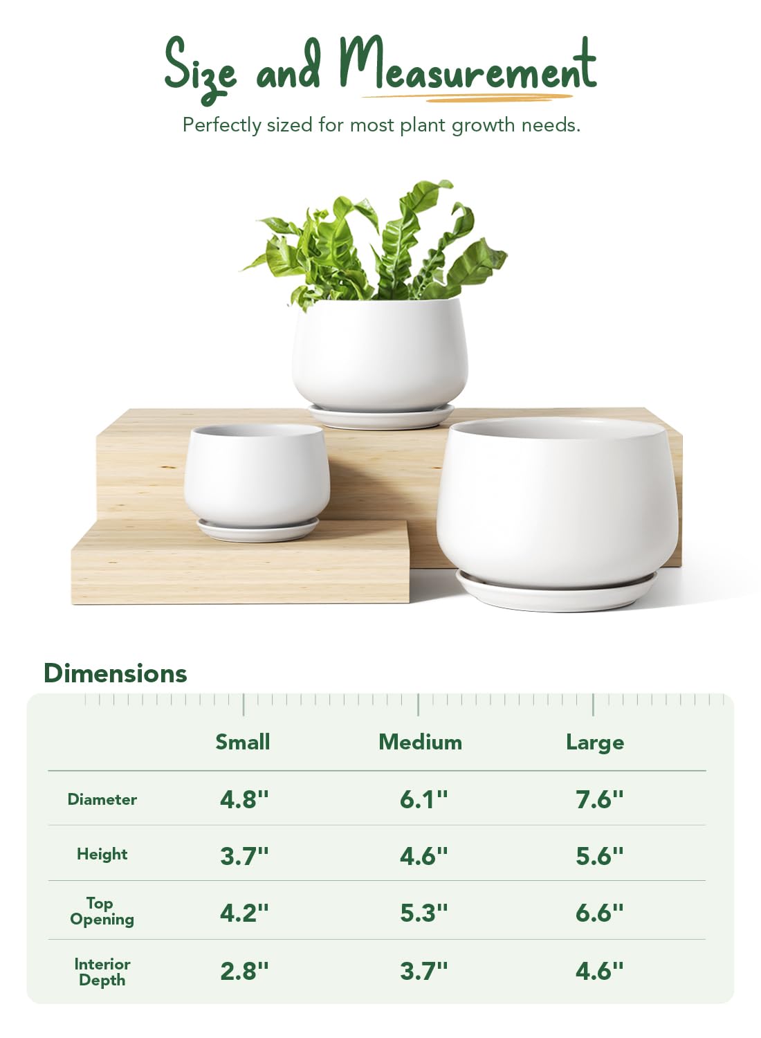 LE TAUCI unglazed interior texture promoting healthier root airflow